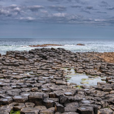 Photo for The nature hexagon columns at the beach called the Giant's Causeway, County Antrim, Northern Ireland - Royalty Free Image