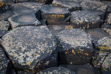 Photo for The nature hexagon columns at the beach called the Giant's Causeway, County Antrim, Northern Ireland. Selective focus, basalt formation. - Royalty Free Image