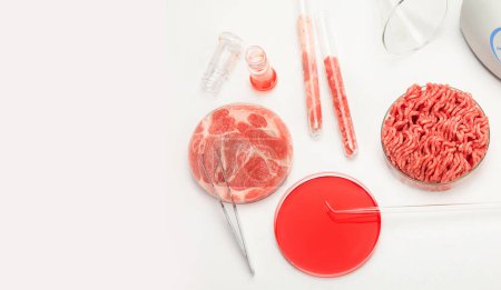 Petri dish with cultured meat in laboratory. Concept of clean meat cultured. copy space