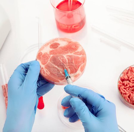Téléchargez les photos : Boîte de Pétri avec viande cultivée en laboratoire. Concept de viande propre cultivée - en image libre de droit