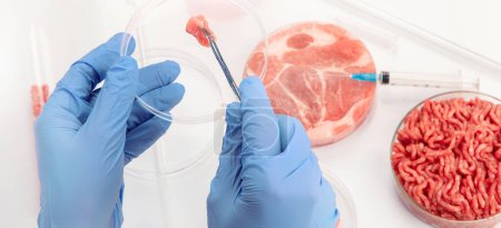 Photo for Petri dish with cultured meat in laboratory. Concept of clean meat cultured - Royalty Free Image