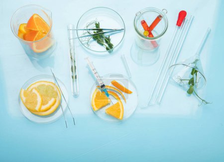 Photo for Laboratory glassware with plants and citrus fruits. top view, copy space - Royalty Free Image