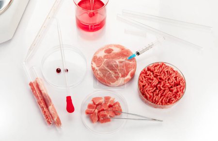 Foto de Placa de Petri con carne cultivada en laboratorio. Concepto de carne limpia cultivada - Imagen libre de derechos