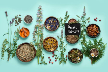 Photo for Alternative herbal medicine on green background. Homeopatic flower and herbs remedies. Top view, copy space - Royalty Free Image