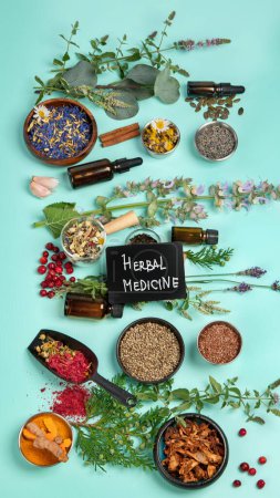 Téléchargez les photos : Alternative herbal medicine on green background. Homeopatic flower and herbs remedies. Top view, copy space - en image libre de droit
