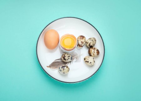 Téléchargez les photos : Des œufs. Alimentation saine sur fond de couleur. Vue du dessus. - en image libre de droit