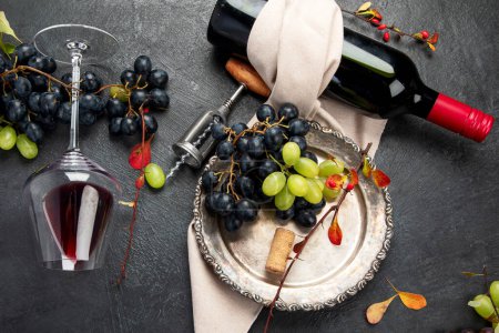 Téléchargez les photos : Une photo aérienne de verres de vin rouge avec une bouteille, des raisins, et un bouchon de liège vintage et des bouchons de liège, prise d'en haut sur un fond sombre. Vue du dessus. - en image libre de droit