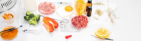 Photo for Laboratory assistant in the laboratory of food quality. Cell culture assay to test genetically modified seed. Top view. Panorama, banner. - Royalty Free Image