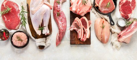 Téléchargez les photos : Différents types de viande fraîche : porc, bœuf et poulet sur fond gris. Vue de dessus. Panorama. - en image libre de droit