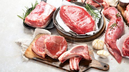 Téléchargez les photos : Différents types de viande fraîche : porc, bœuf et poulet sur fond gris. Vue de dessus. Panorama. - en image libre de droit