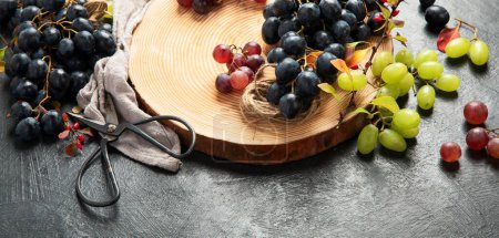 Photo for Green and black grapes on a wooden plate. Top view. Panorama with copy space. - Royalty Free Image