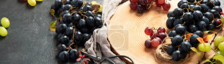 Photo for Green and black grapes on a wooden plate. Top view. Panorama, banner. - Royalty Free Image