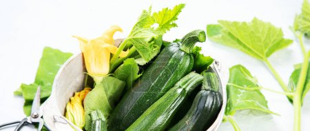 Photo for Composition with zucchini on neutral background. Popular component of healthy diets. copy space - Royalty Free Image