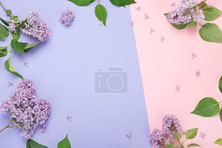 Foto de White and pink background with lilac flowers. Spring natural background. Top view, flat lay, copy space - Imagen libre de derechos
