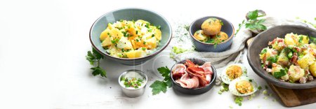 Photo for Set with different potato salads. Traditional german and american cuisine. Panorama, banner - Royalty Free Image