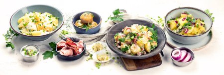 Photo for Set with different potato salads. Traditional german and american cuisine. Panorama, banner - Royalty Free Image
