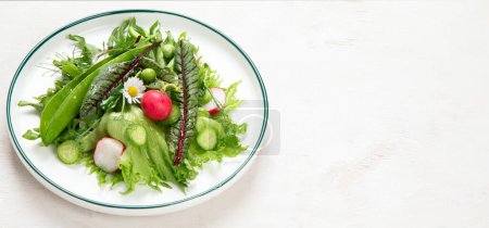 Téléchargez les photos : Salade vitaminée printanière. Salade de légumes frais et d'herbes. Concept de saine alimentation. Vitamines pour l'immunité. Nourriture pour végétariens sur fond blanc. Vue de dessus. Panorama avec espace de copie. - en image libre de droit