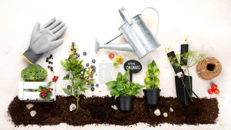 Foto de Frutas crudas, bayas, verduras composición con herramientas de jardín sobre fondo claro - Imagen libre de derechos