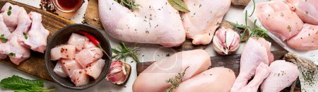 Photo for Various raw chicken meat portions. Top view, panorama, banner - Royalty Free Image