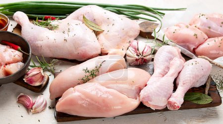 Photo for Various raw chicken meat portions. - Royalty Free Image