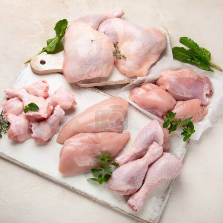 Photo for Raw chicken meat fillet, thigh, wings and legs on a white background. Top view. - Royalty Free Image