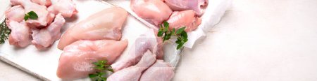 Photo for Raw chicken meat fillet, thigh, wings and legs on a white background. Top view. Panorama with copy space. - Royalty Free Image