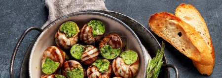 Photo for Snails with herbs butter,  French traditional food with parsley and bread on grey background. Top view, copy space. - Royalty Free Image