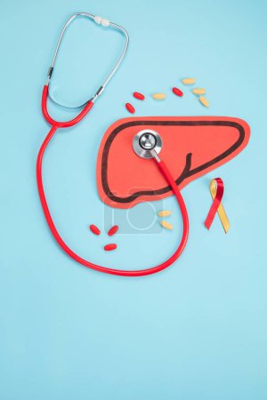 Photo for A stethoscope and liver shape made of paper on a white background. Top view. Healthcare and medical concept. - Royalty Free Image