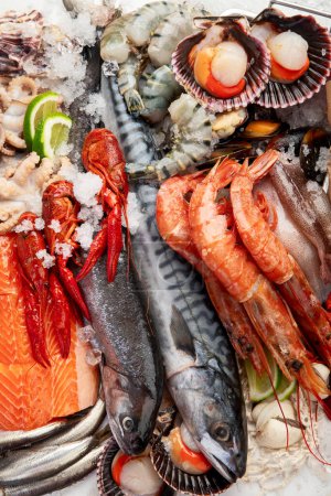 Téléchargez les photos : Divers plats de fruits de mer et de poissons. Concept d'alimentation saine sur fond blanc, vue de dessus. - en image libre de droit