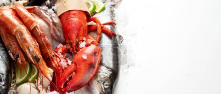 Téléchargez les photos : Divers plats de fruits de mer et de poissons. Concept d'alimentation saine sur fond blanc, vue de dessus. Panorama avec espace de copie. - en image libre de droit