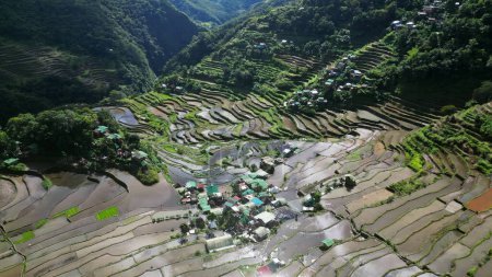 Luftaufnahme der malerischen Batad-Reisterrassen in der Provinz Ifugao, Insel Luzon, Philippinen