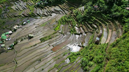 Aerial view of picturesque Batad Rice Terraces in Ifugao Province, Luzon Island, Philippines