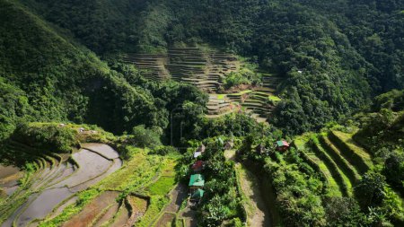 Vue aérienne des pittoresques terrasses de riz Batad dans la province d'Ifugao, île de Luçon, Philippines