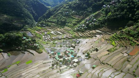 Luftaufnahme der malerischen Batad-Reisterrassen in der Provinz Ifugao, Insel Luzon, Philippinen