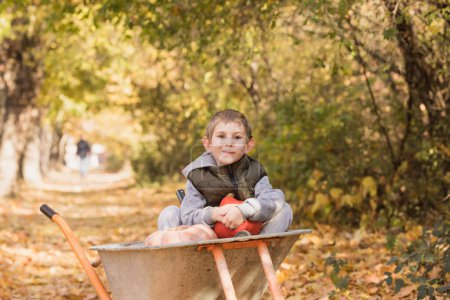 Photo for Boy has fun in the wheelbarrow with pumpkins, thenksgiving season - Royalty Free Image