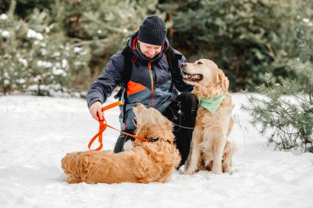 Foto de Tipo propietario acariciando perros golden retriever en invierno en la nieve. Hombre con mascotas perrito en el bosque en clima frío - Imagen libre de derechos
