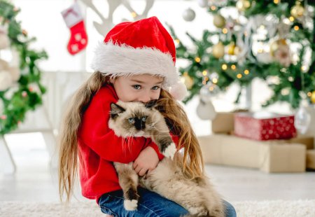 Téléchargez les photos : Enfant fille étreignant ragdoll chat dans la période de Noël dans la chambre avec arbre décoré sur le fond et souriant. Jolie enfant portant le chapeau de Père Noël avec animal domestique à la maison au Nouvel An - en image libre de droit