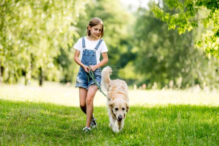 Téléchargez les photos : Petite fille mignonne avec beau chien marchant sur la prairie d'été - en image libre de droit