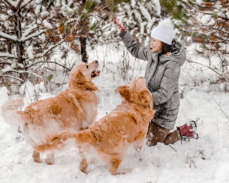 Téléchargez les photos : Girl playing with two golden retriever dogs in snow in winter time. Young woman with doggy pet labradors outdoors in cold weather with snowflakes - en image libre de droit