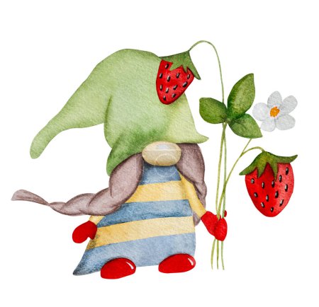 Watercolor hand drawn gnome dwarf with garden strawberries on white background for postcards. Cute troll elf with berries aquarelle painting