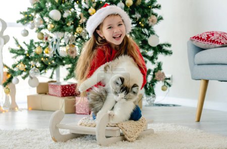 Foto de Child girl holding ragdoll cat in Christmas time, sitting on sled and smiling. Happy kid wearing Santa hat with domestic animal at home in New Year with decorated tree - Imagen libre de derechos