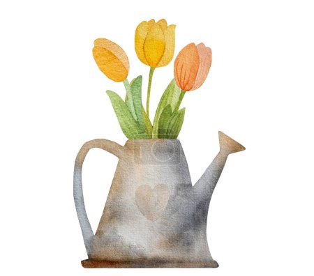 Photo for Spring tulips bouquet in watering can watercolor drawing for postcard. Beautiful summer flowers aquarelle painting - Royalty Free Image