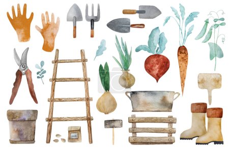 Téléchargez les photos : Outils de jardin et carotte, récolte d'oignons avec échelle en bois et gants aquarelle peinture. Râteau, vitrine et légumes betteraves aquarelle illustration - en image libre de droit