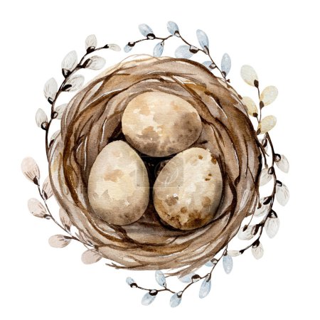 Foto de Pintura acuarela de Pascua con huevos tradicionales en nido sobre fondo blanco. Fiesta primavera religión aquarelle dibujo postal con diseño de moda - Imagen libre de derechos