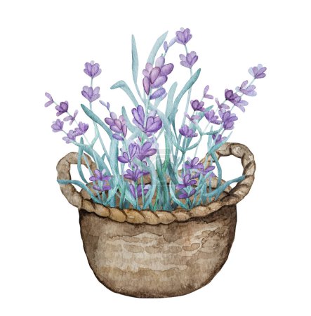 Téléchargez les photos : Magnifique bouquet de provence de lavande dans le panier illustration aquarelle pour la conception de carte postale. Fleur violette composition fleur aquarelle dessin - en image libre de droit