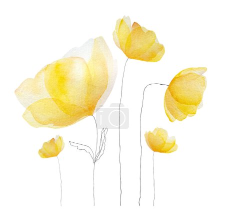 Téléchargez les photos : Aquarelle printemps été fleurs fleurissent. Bouquet floral jaune tendre pour la décoration et la conception de cartes postales - en image libre de droit