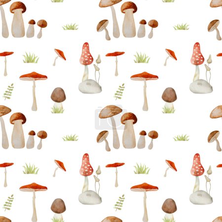 Photo for Forest mushrooms watercolor painting seamless pattern. Wood fungal vegetables fly agaric amarita and chanterelle aquarelle drawing - Royalty Free Image