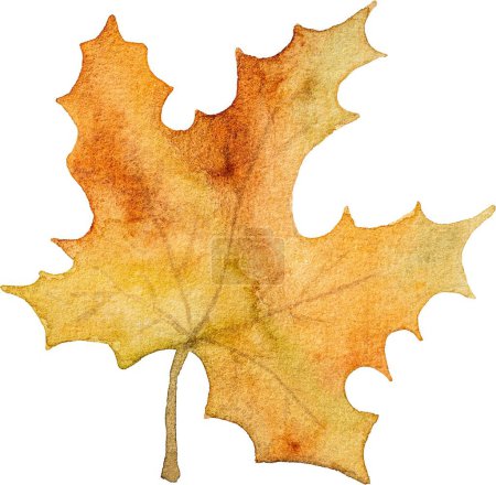 Téléchargez les photos : Feuilles d'érable d'automne aquarelle dessin gros plan. Feuillage d'automne aquarelle peinture - en image libre de droit