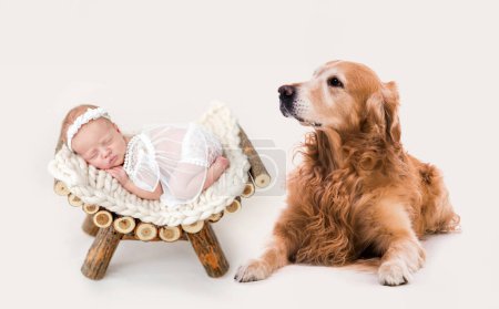 Foto de Hermoso recién nacido durmiendo en un pedestal de madera con su perro - Imagen libre de derechos