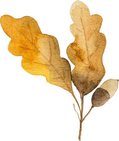 Téléchargez les photos : Feuilles de chêne d'automne avec glands aquarelle dessin gros plan. Feuillage d'automne aquarelle peinture - en image libre de droit